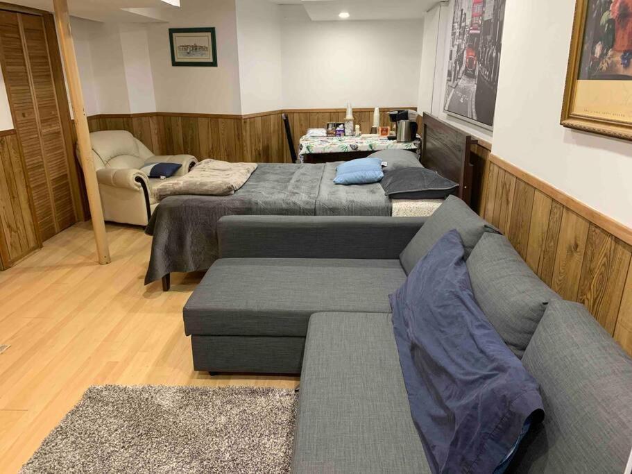 Big Oasis Studio Near Airport Yyz Hotell Toronto Exteriör bild